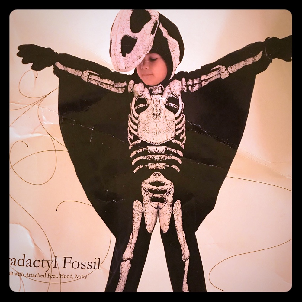 Pterodactyl fossil Halloween costume